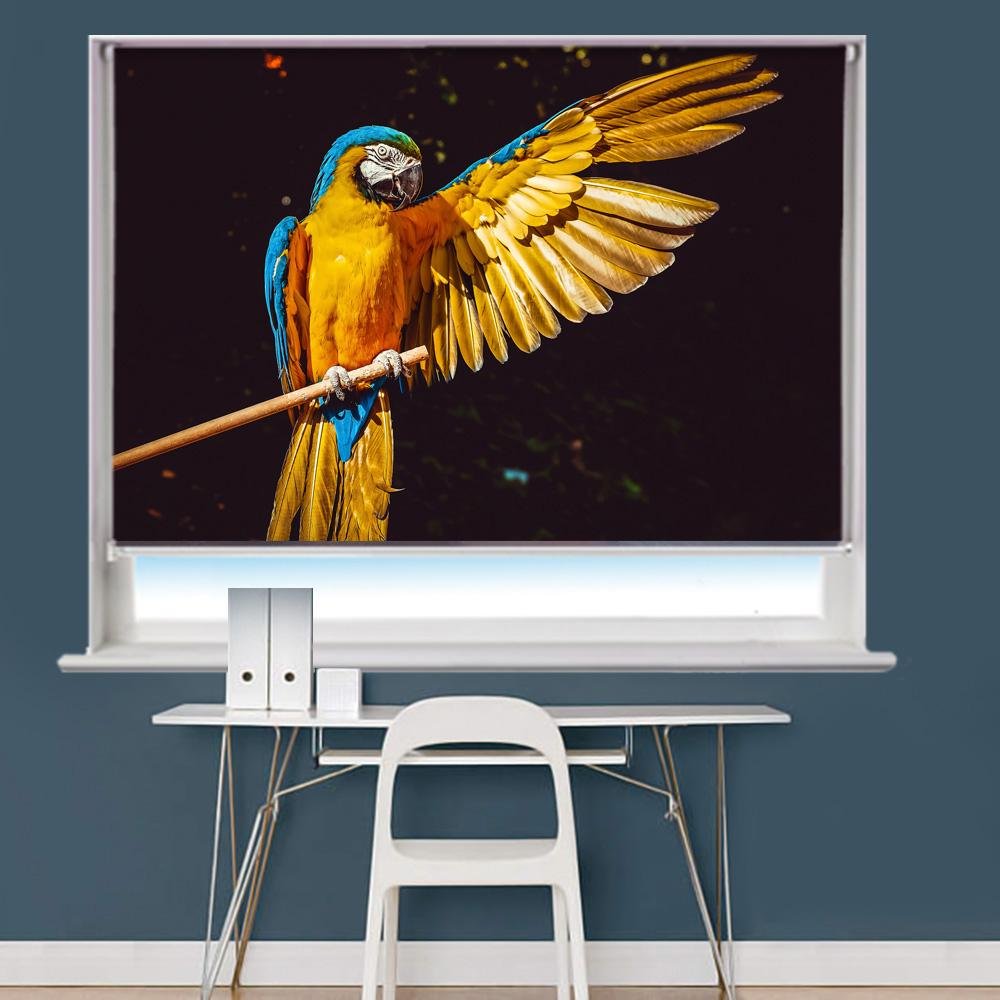 Macaw Parrot Image Printed Roller Blind - RB813 - Art Fever - Art Fever