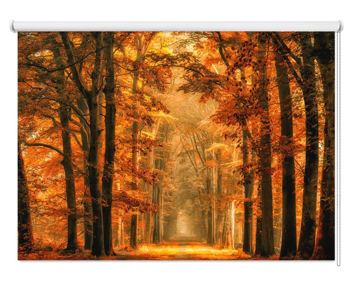 Majestic Golden Forest Printed Picture Photo Roller Blind - 1X1026079 - Art Fever - Art Fever