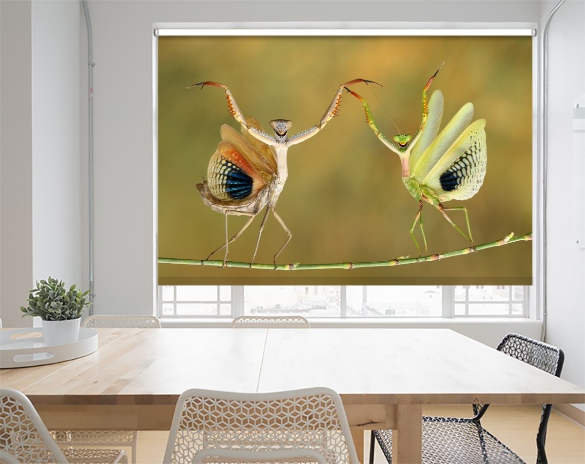Mantis Dance Printed Picture Photo Roller Blind - 1X708392 - Art Fever - Art Fever