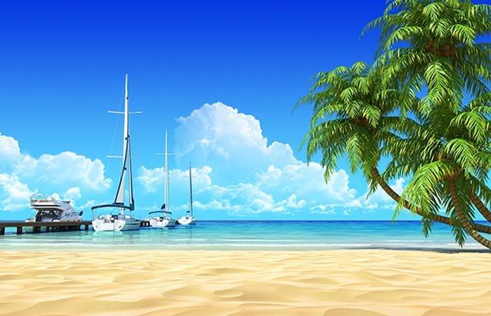 Marina pier and tropical palms Printed Photo Picture Roller Blind - RB505 - Art Fever - Art Fever
