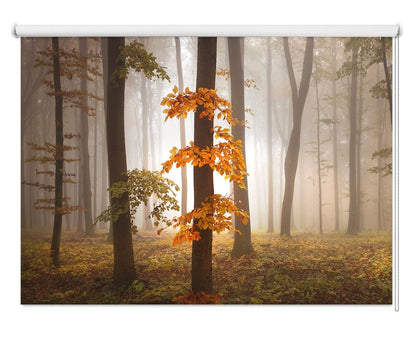 Misty Forest Scene Printed Picture Photo Roller Blind- 1X46412 - Art Fever - Art Fever