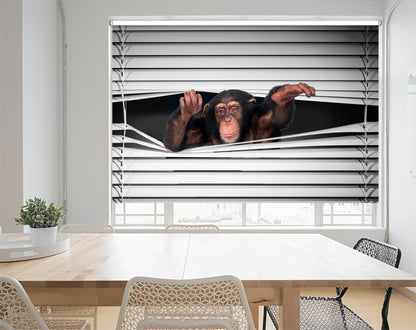 Monkey peeking through the blind Black & White Printed Picture Photo Roller Blind - RB1152 - Art Fever - Art Fever