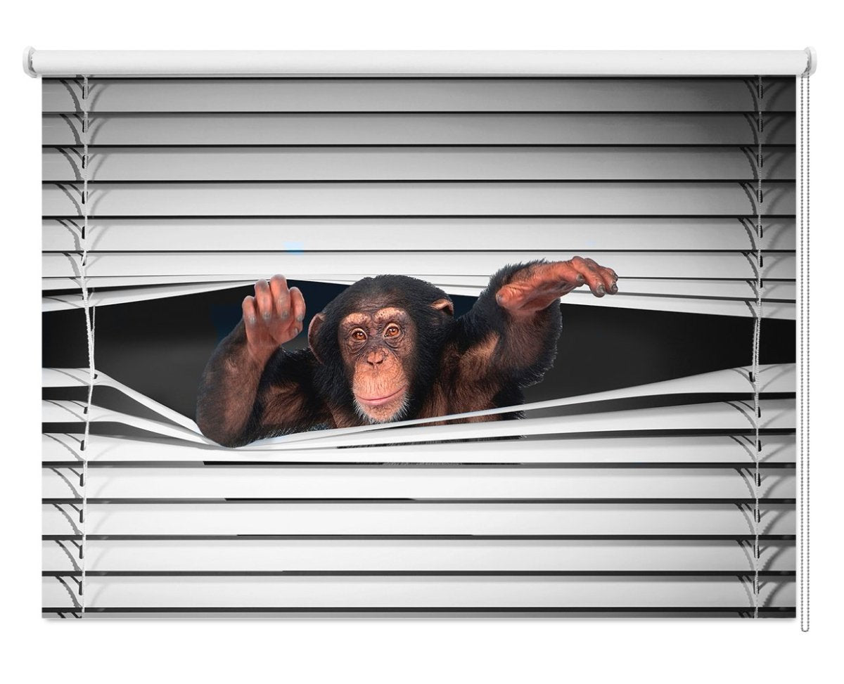 Monkey peeking through the blind Black & White Printed Picture Photo Roller Blind - RB1152 - Art Fever - Art Fever