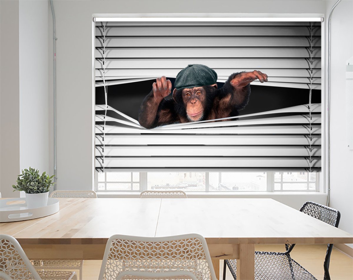 Monkey Wearing Peak Cap Peeking through the blind Printed Picture Photo Roller Blind - RB1277 - Art Fever - Art Fever