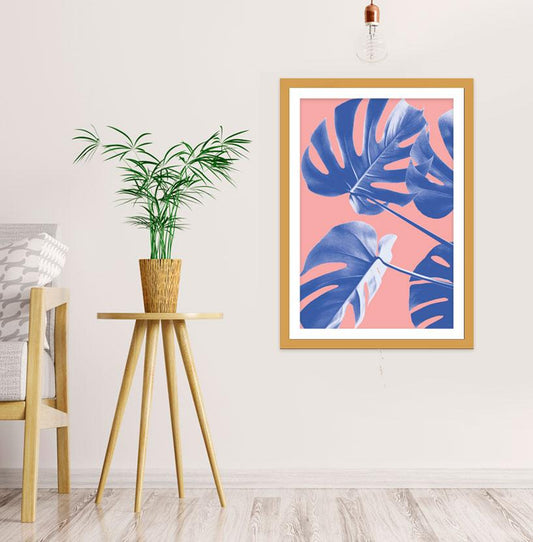 Monstera Blue, The Swiss Cheese Plant Pink Background Framed Mounted Print Picture - FP-1X_3 - Art Fever - Art Fever