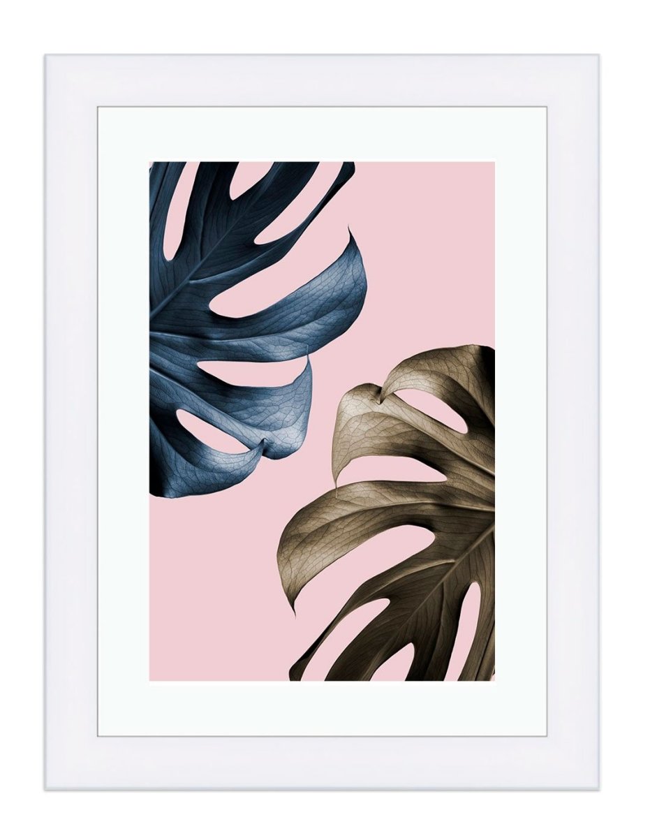 Monstera Multi Colour, The Swiss Cheese Plant Pink Background Framed Mounted Print Picture - FP-1X_6 - Art Fever - Art Fever