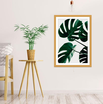 Monstera, The Swiss Cheese Plant in Teal Framed Mounted Print Picture - 1X_1 - Art Fever - Art Fever