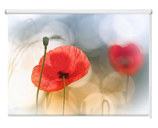 Morning Poppies Printed Picture Photo Roller Blind - 1X440386 - Art Fever - Art Fever