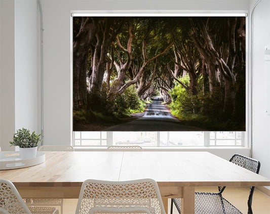 Morning Sunlight In Beech Alley The Dark Hedges In County Antrim Game of Thrones Printed Picture Photo Roller Blind - RB1144 - Art Fever - Art Fever