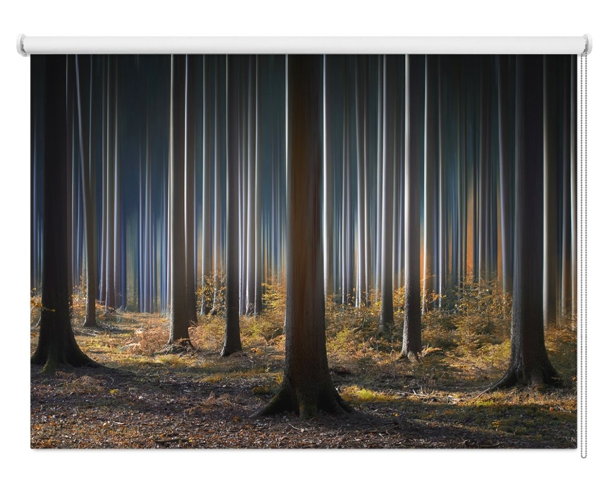 Mystic Wood Printed Picture Photo Roller Blind- 1X341003 - Art Fever - Art Fever