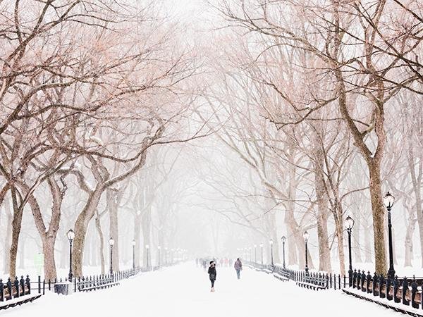 New York Central Park Snow Photo Printed Picture Roller Blind - RB579 - Art Fever - Art Fever