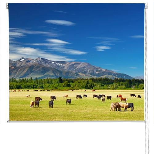 New Zealand landscape Printed Picture Photo Roller Blind - RB47 - Art Fever - Art Fever