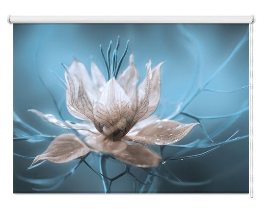 Nigella Flower Printed Picture Photo Roller Blind - 1X631070 - Art Fever - Art Fever