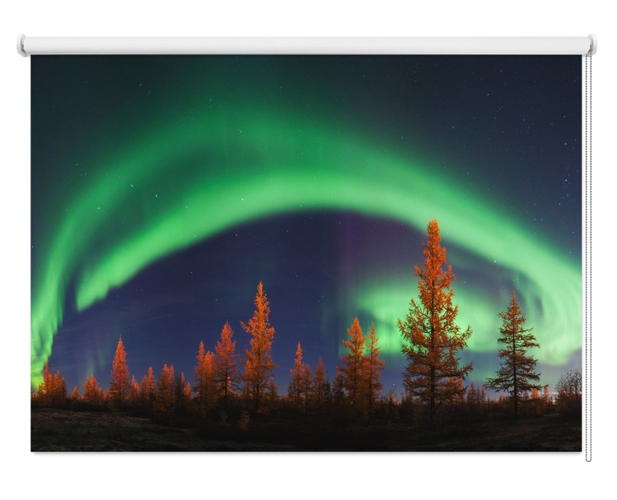 Northern Lights over the Forest Printed Picture Photo Roller Blind- 1X1013187 - Art Fever - Art Fever