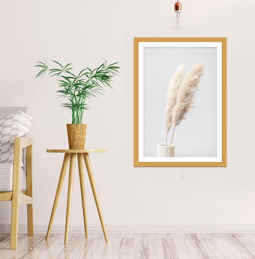 Framed Mounted Print Picture of Pampas grass Botanical Wall Art – Art Fever