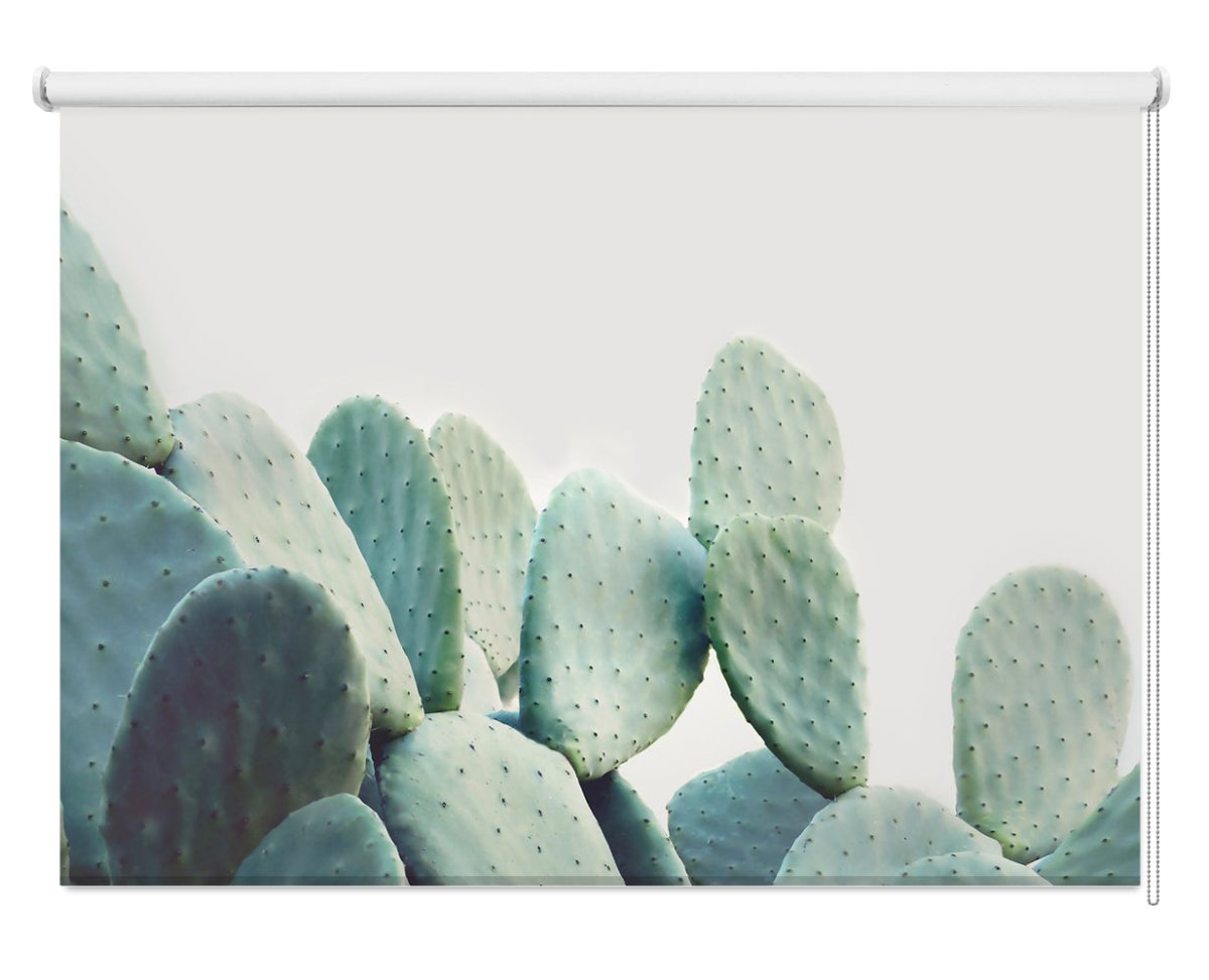 Pastel Cactus Printed Picture Photo Roller Blind - 1X2381993 - Art Fever - Art Fever