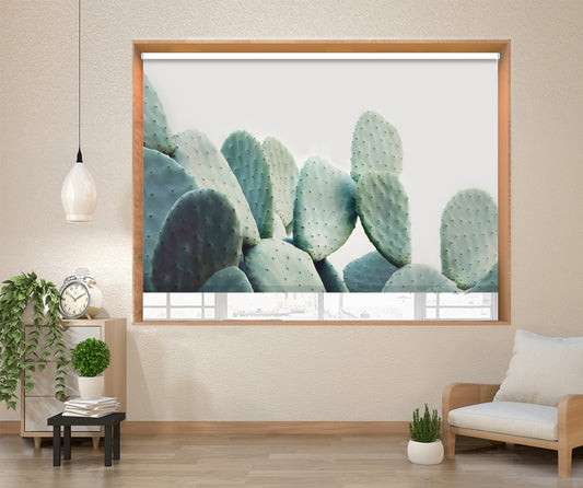 Pastel Cactus Printed Picture Photo Roller Blind - 1X2381993 - Art Fever - Art Fever