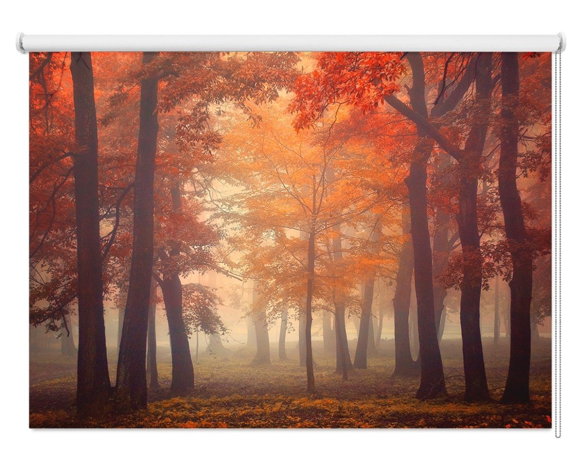 Path through the Autumn Woods Printed Picture Photo Roller Blind - 1X714425 - Art Fever - Art Fever