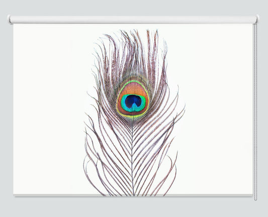 Peacock Feather Printed Picture Photo Roller Blind - 1X2381991 - Art Fever - Art Fever