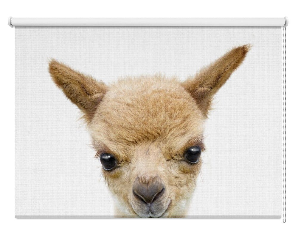 Peekaboo Baby Llama Printed Picture Photo Roller Blind - 1X2523077 - Pictufy - Art Fever