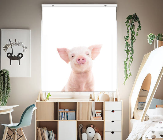Peeking Baby Pig EasyBlock Printed Blackout Blind with Toggle attachment - EB35 - Art Fever - Art Fever