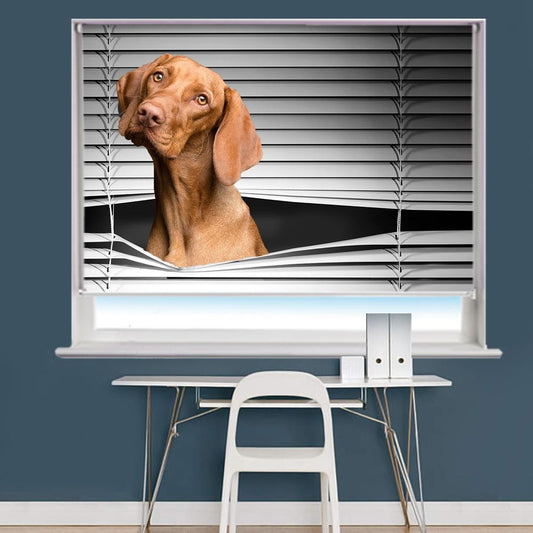 Peeking Beagle Image Printed Roller Blind - RB860 - Art Fever - Art Fever