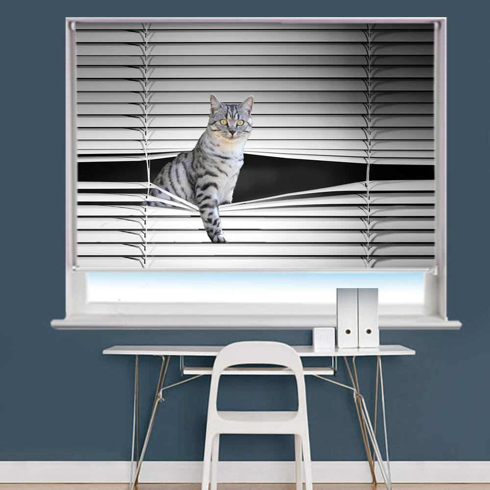 Peeking Cat Image Printed Roller Blind - RB862 - Art Fever - Art Fever