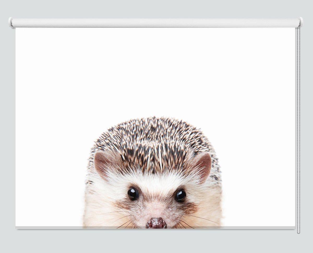 Peeking Hedgehog Printed Picture Photo Roller Blind - 1X2381995 - Art Fever - Art Fever