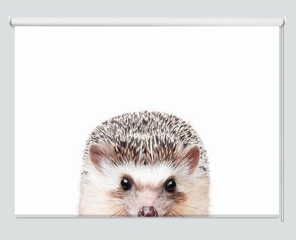 Peeking Hedgehog Printed Picture Photo Roller Blind - 1X2381995 - Art Fever - Art Fever