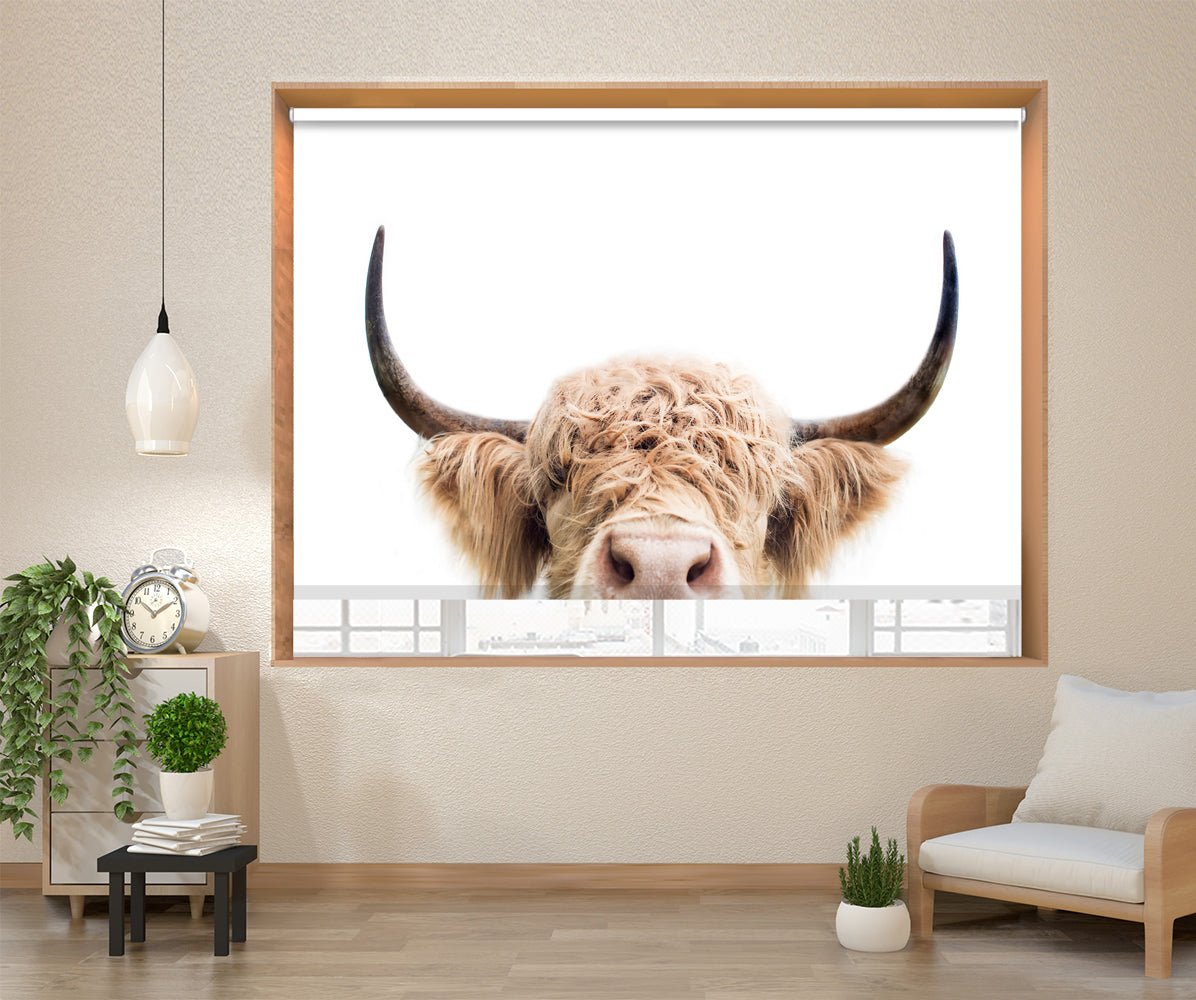 Highland store cow print