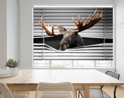 Peeking Moose Printed Picture Photo Roller Blind - RB1037 - Art Fever - Art Fever