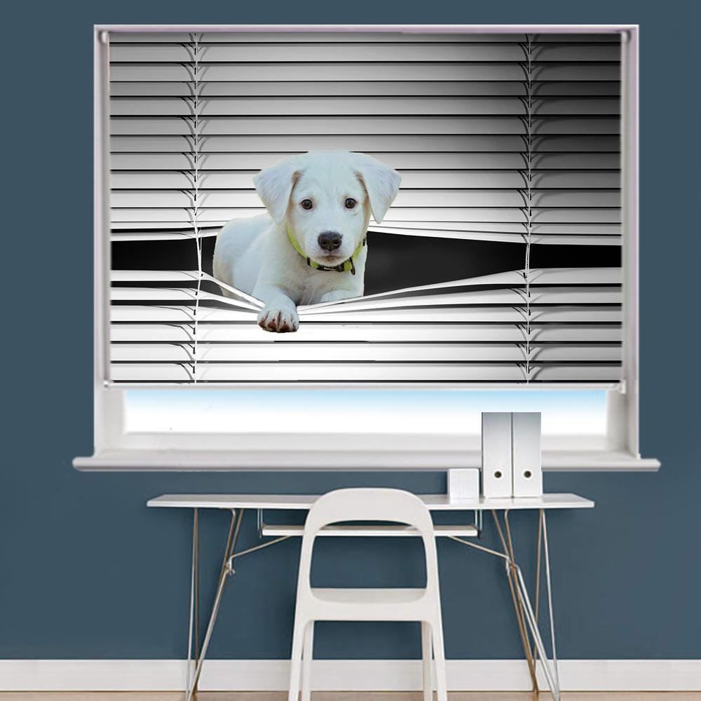 Peeking Puppy Image Printed Roller Blind - RB859 - Art Fever - Art Fever