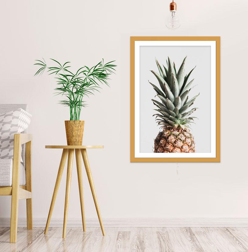 Pineapple 3 Botanical Wall Art Framed Mounted Print Picture - FP-1X_13 - Art Fever - Art Fever