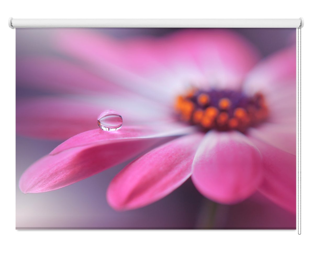 Pink Floral Close Up Printed Picture Photo Roller Blind - 1X2262044 - Art Fever - Art Fever