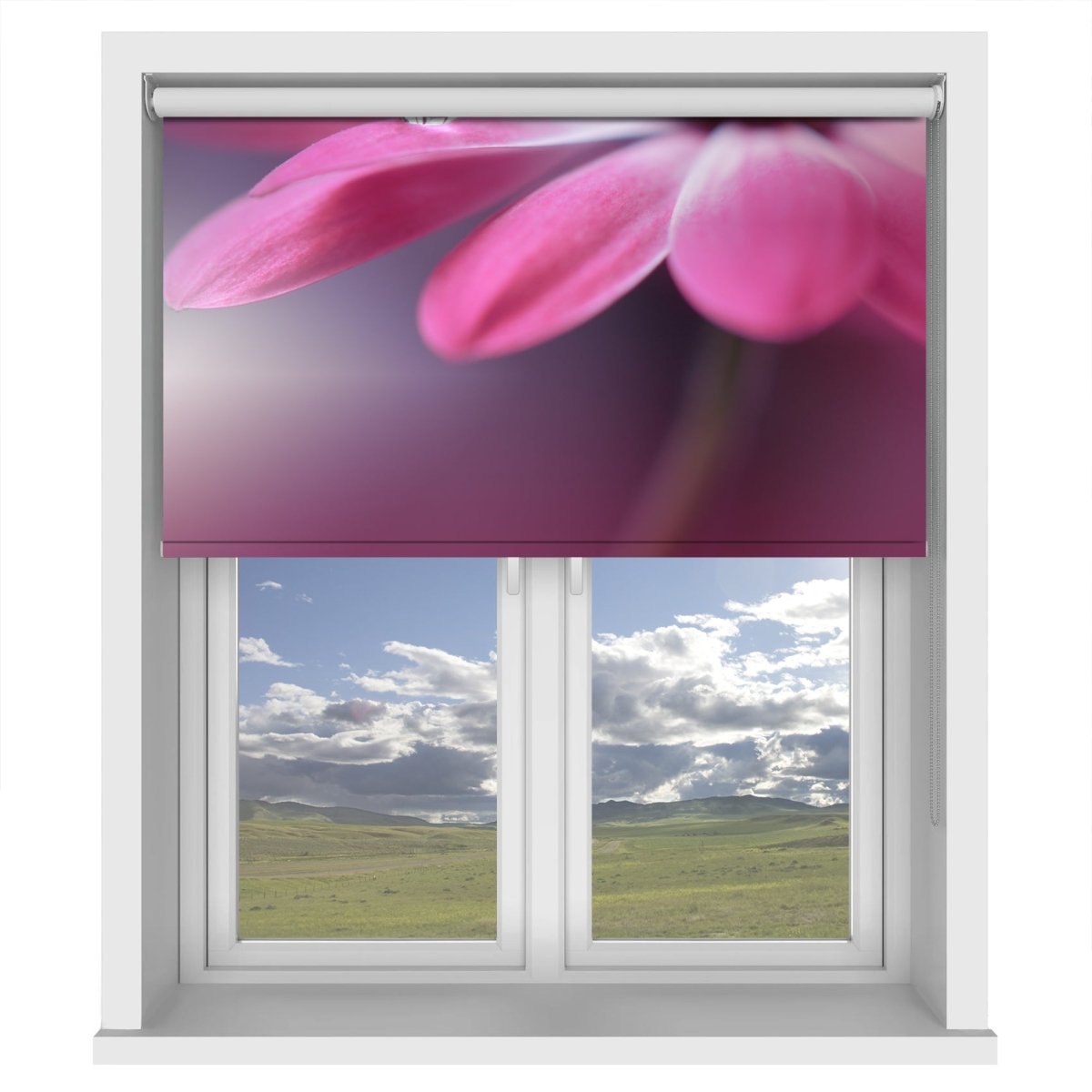 Pink Floral Close Up Printed Picture Photo Roller Blind - 1X2262044 - Art Fever - Art Fever