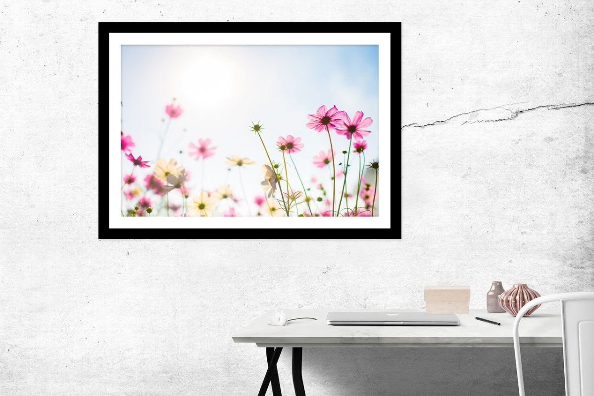 Pink Flowers in Sunlight Framed Mounted Print Picture - FP29 - Art Fever - Art Fever