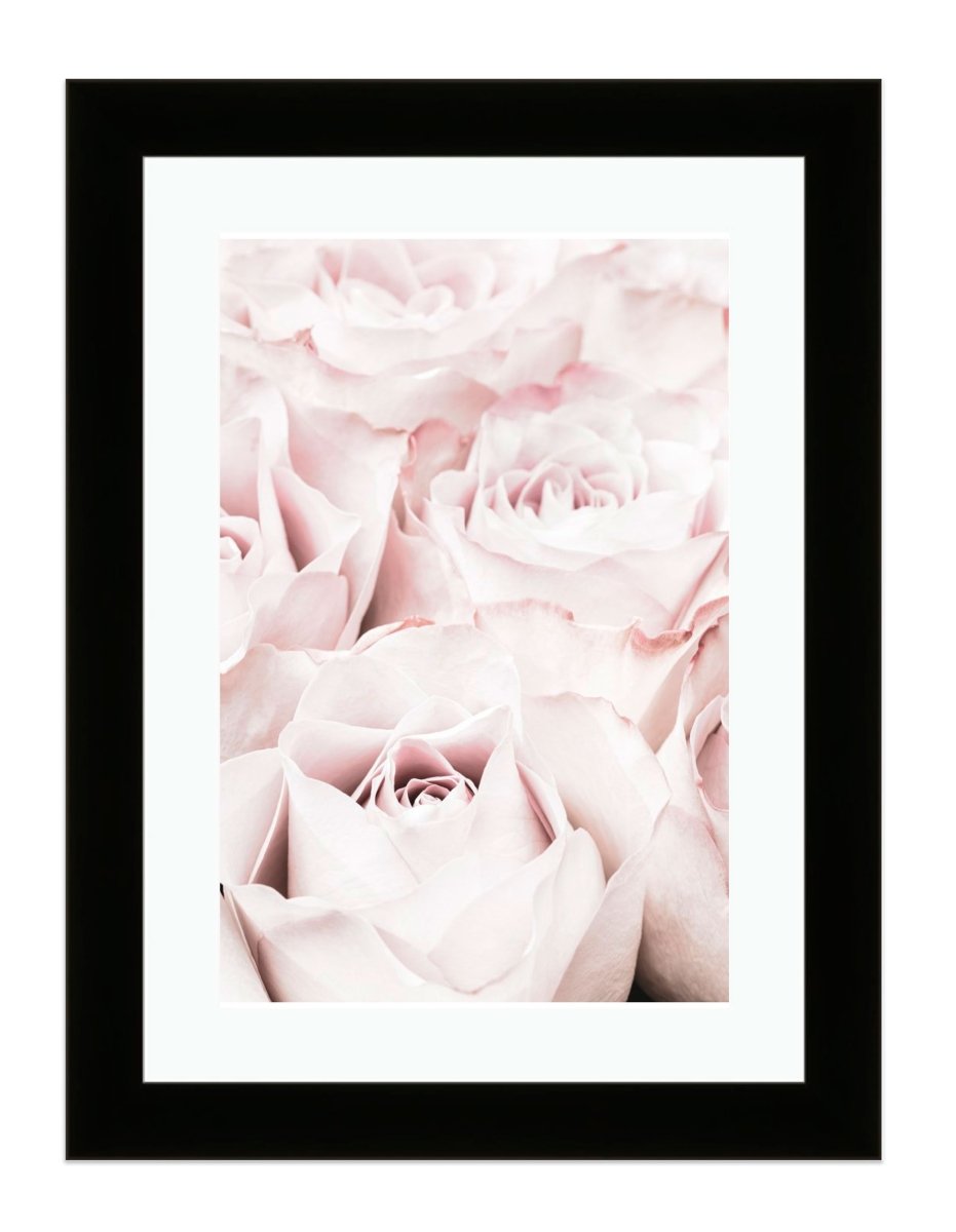 Pink Roses Botanical Wall Art Framed Mounted Print Picture - FP-1X_14 - Art Fever - Art Fever