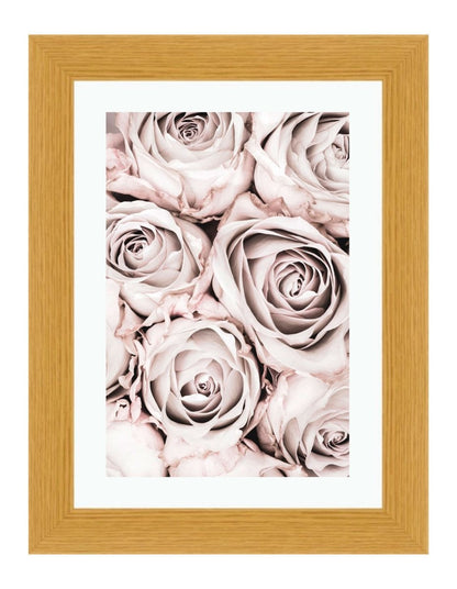 Pink Roses Close Up Botanical Wall Art Framed Mounted Print Picture - FP-1X_15 - Art Fever - Art Fever