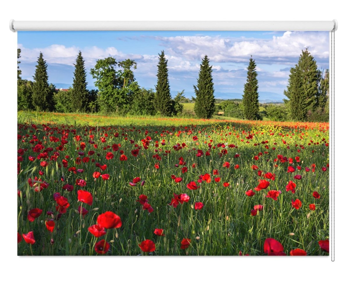 Poppy Field In Tuscany Printed Picture Photo Roller Blind - RB1146 - Art Fever - Art Fever