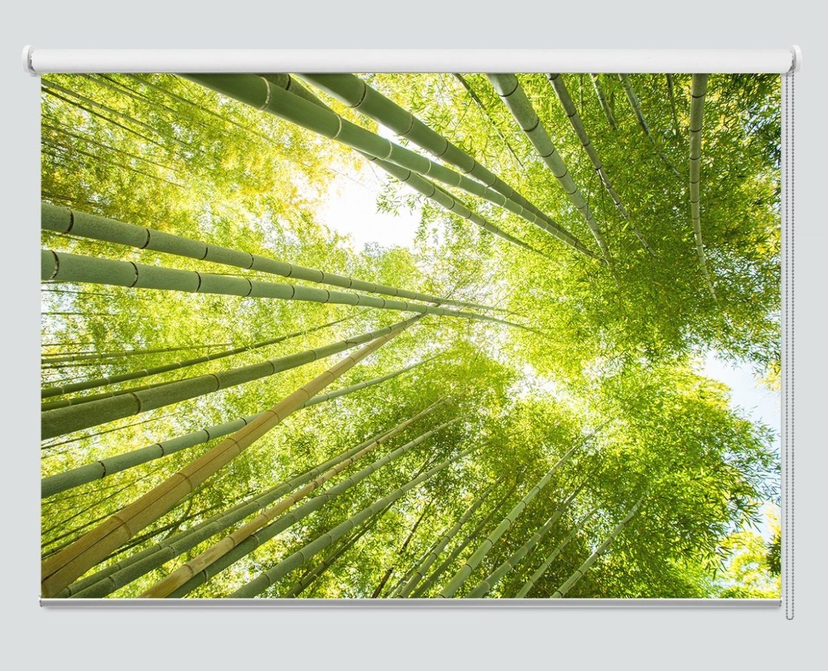 Printed Picture Photo Roller Blind Low Angle View Of Bamboo Forest - RB1008 - Art Fever - Art Fever