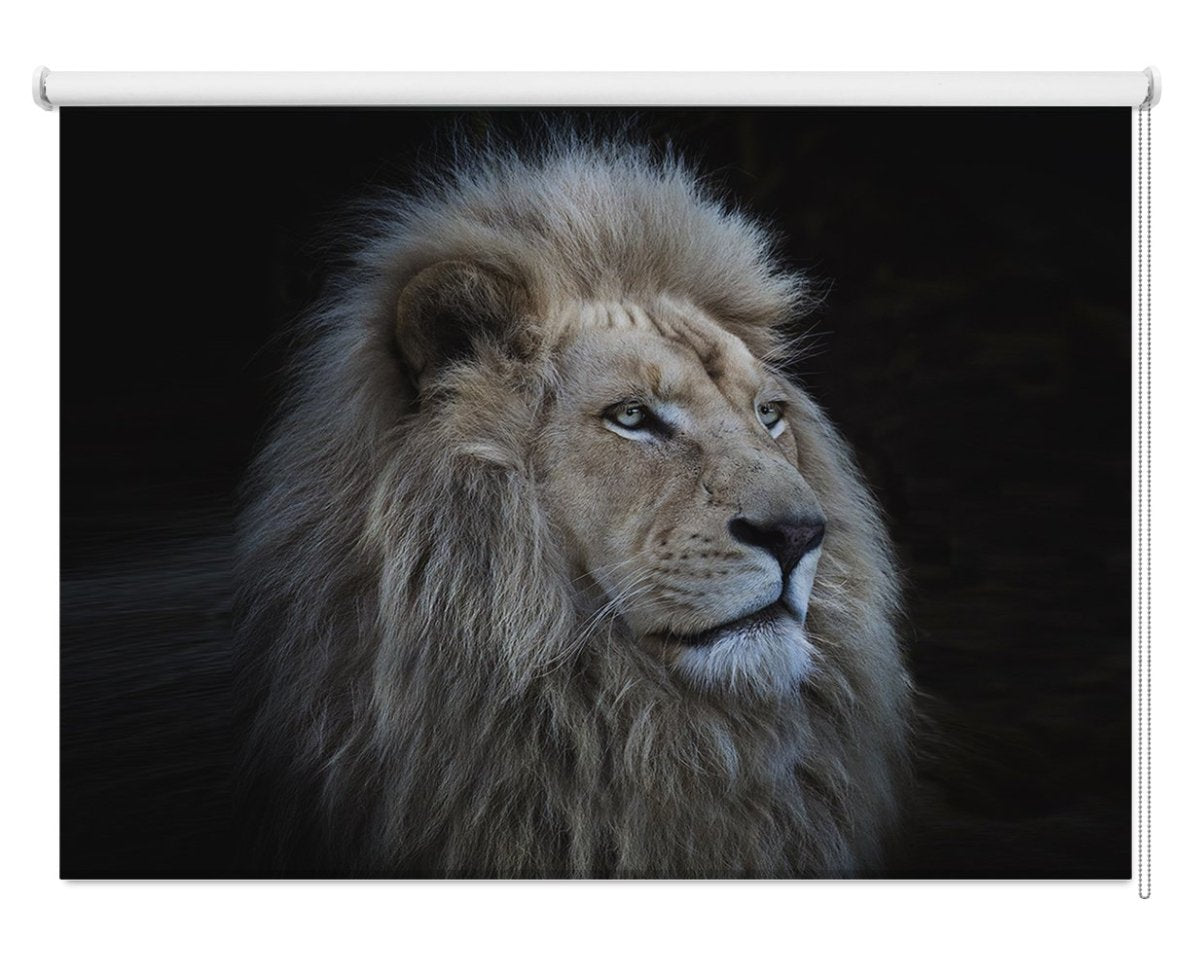 Proud Lion Printed Picture Photo Roller Blind - 1X1007802 - Art Fever - Art Fever