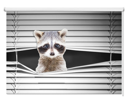 Raccoon Peeking through the blind Printed Picture Photo Roller Blind - RB1283 - Art Fever - Art Fever