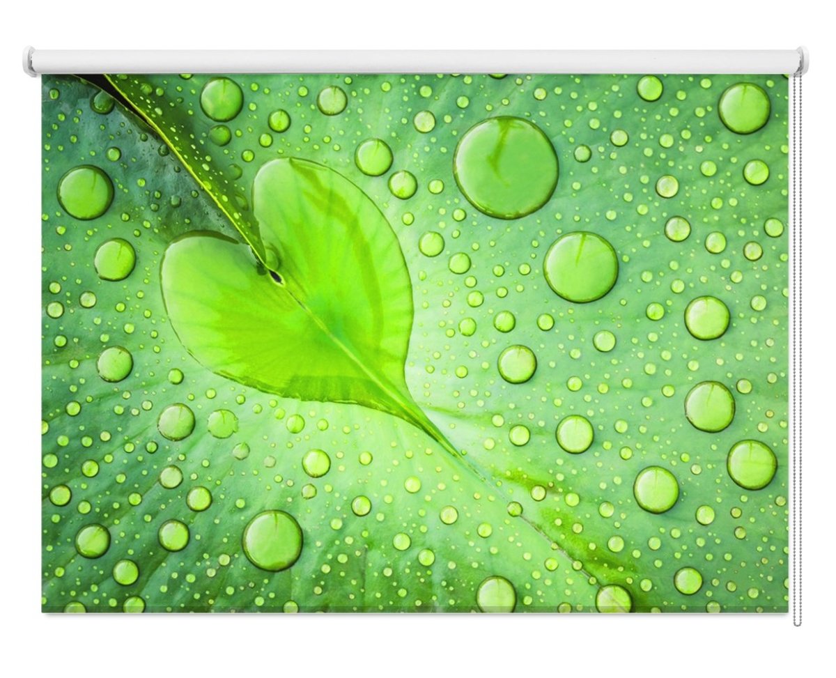 Rain Drops Leaf Close Up Printed Picture Photo Roller Blind- 1X435555 - Art Fever - Art Fever