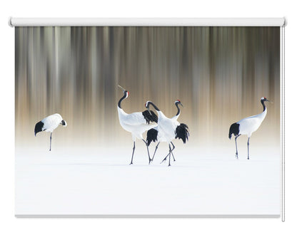 Red-crested White Cranes Printed Photo Roller Blind - 1X1292568 - Art Fever - Art Fever