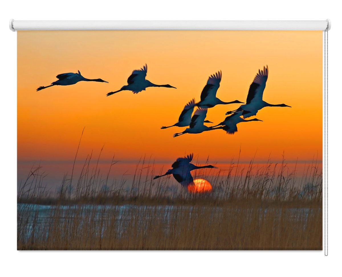 Red-crowned Crane Printed Photo Roller Blind - 1X1184517 - Art Fever - Art Fever