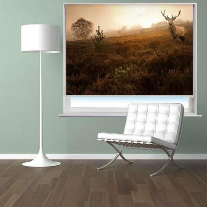 Red deer stag in the misty Field Printed Picture Photo Roller Blind - RB103 - Art Fever - Art Fever