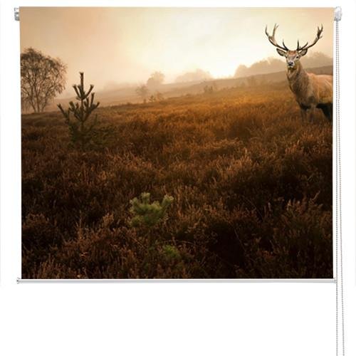 Red deer stag in the misty Field Printed Picture Photo Roller Blind - RB103 - Art Fever - Art Fever