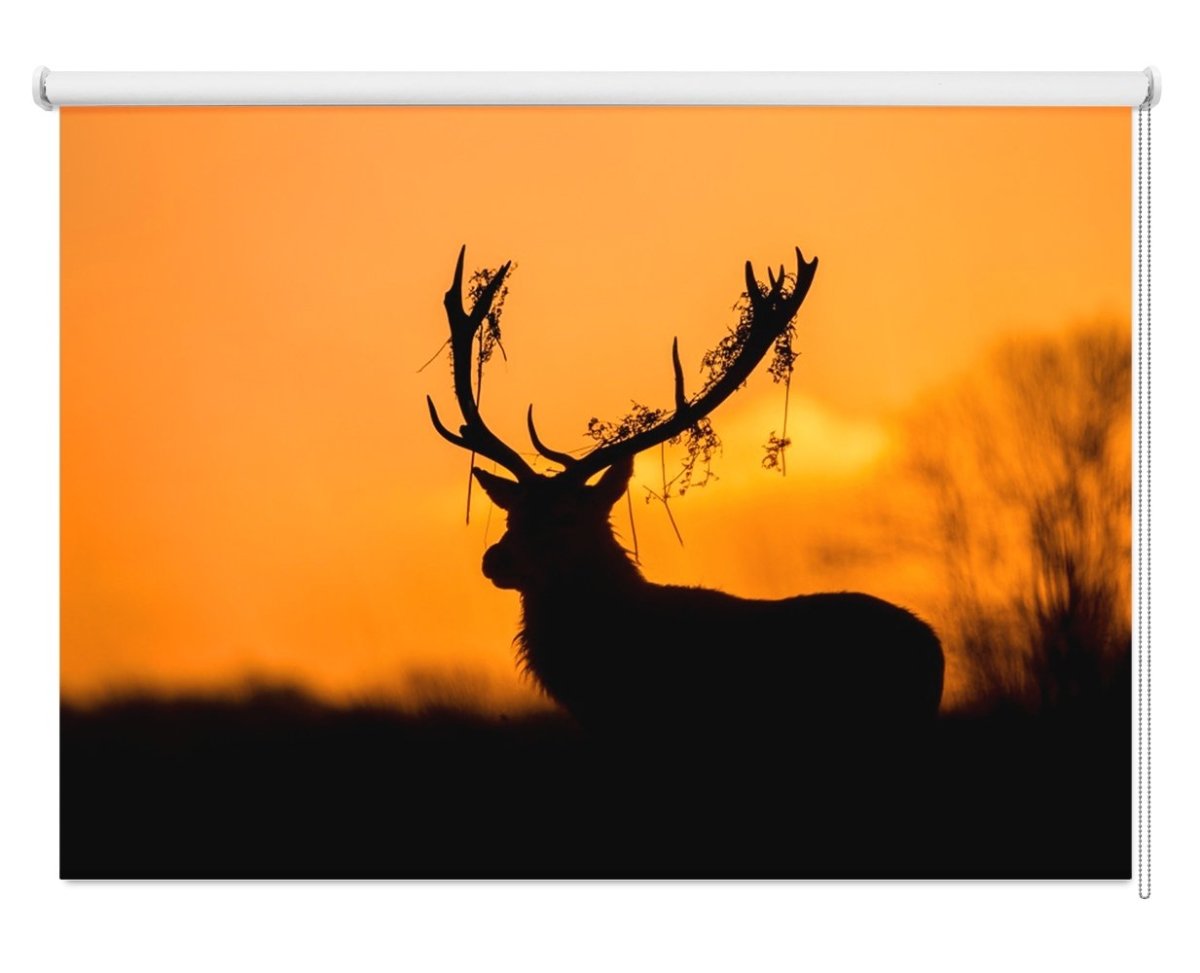 Red Deer Stag Silhouette Printed Picture Photo Roller Blind - 1X848048 - Art Fever - Art Fever
