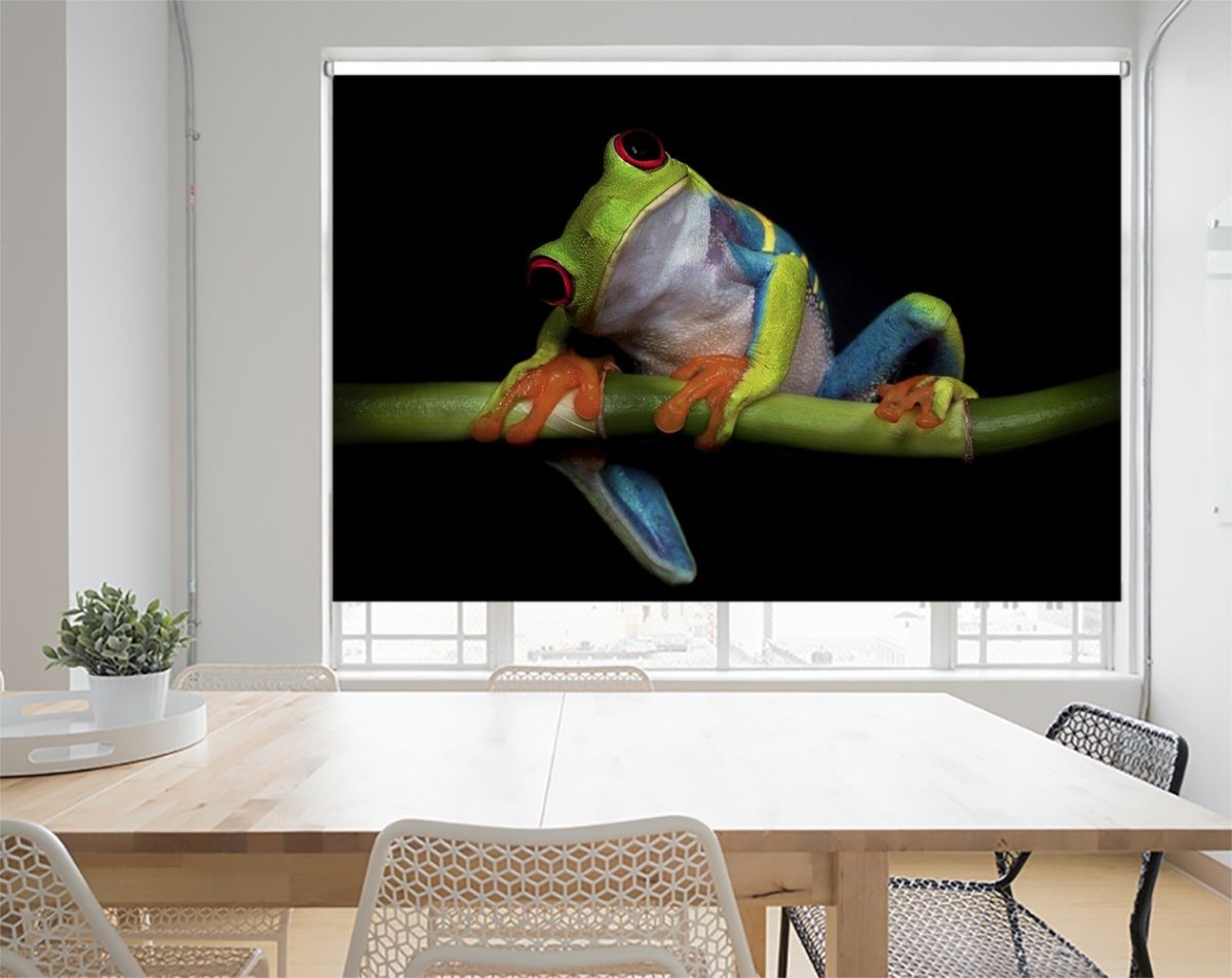 Red-eyed tree frog Printed Picture Photo Roller Blind - 1X623384 - Art Fever - Art Fever