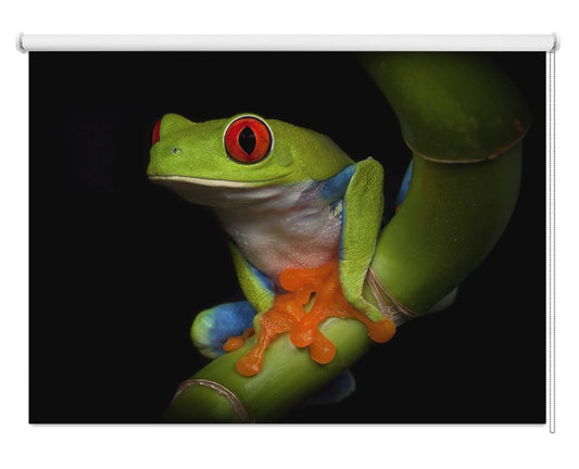 Red Eyed Tree Frog Printed Picture Photo Roller Blind- 1X711909 - Art Fever - Art Fever